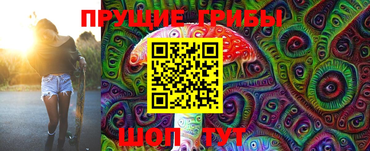 Галлюциногенные грибы Psilocybine cubensis Рославль