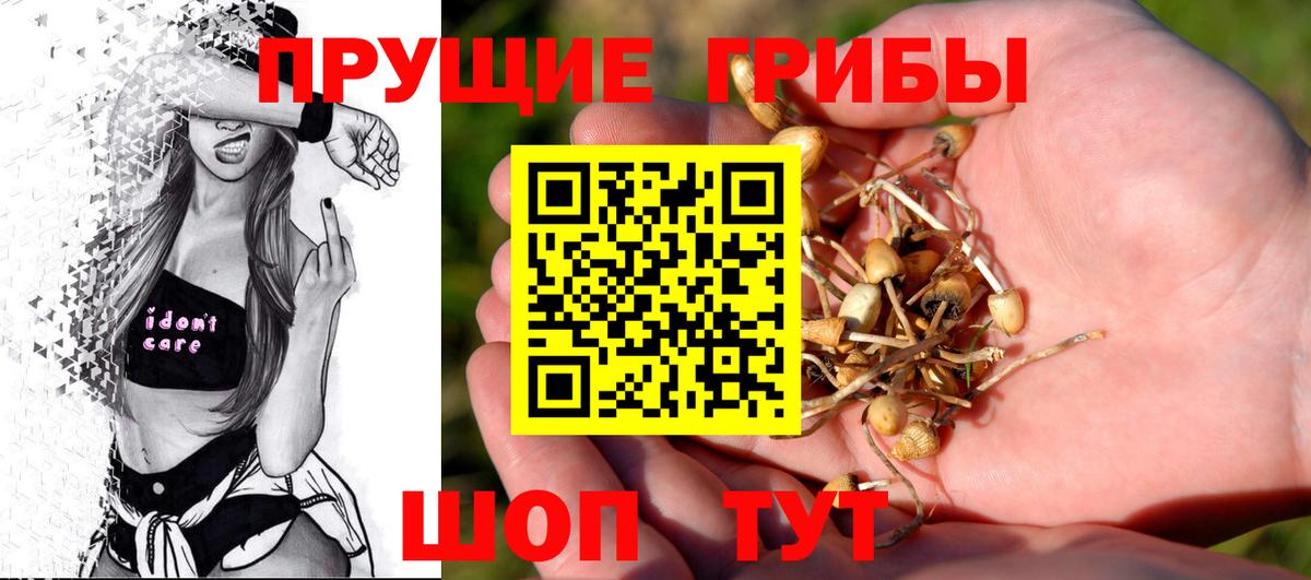 Галлюциногенные грибы мухоморы  Вход с VPN  Псилоцибиновые грибы Psilocybe  Рославль 