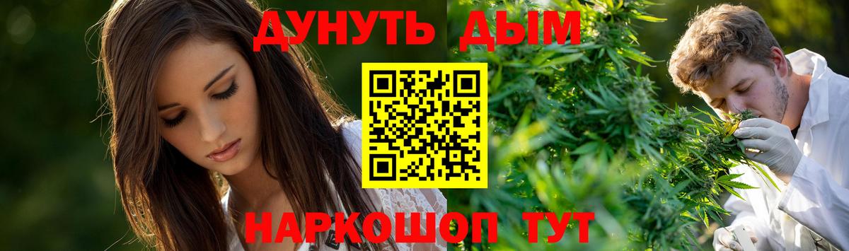 Каннабис сатива  Бошки марихуана OG Kush  Рославль  Вход с VPN  Каннабис Amnesia  Марихуана ГИДРОПОН 